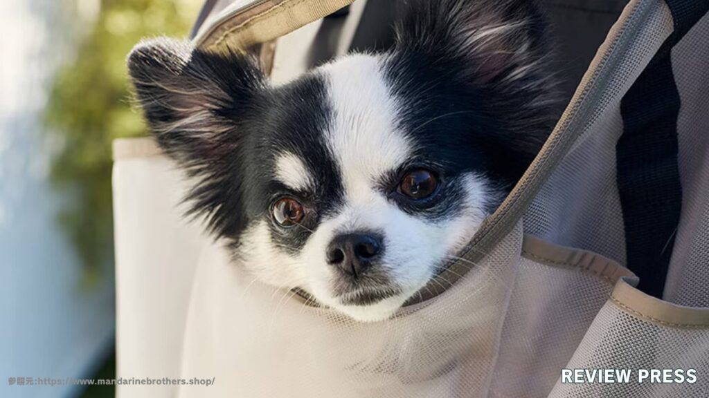 【どこの国】マンダリンブラザーズの口コミ！リュックやスリングの評判を徹底解説