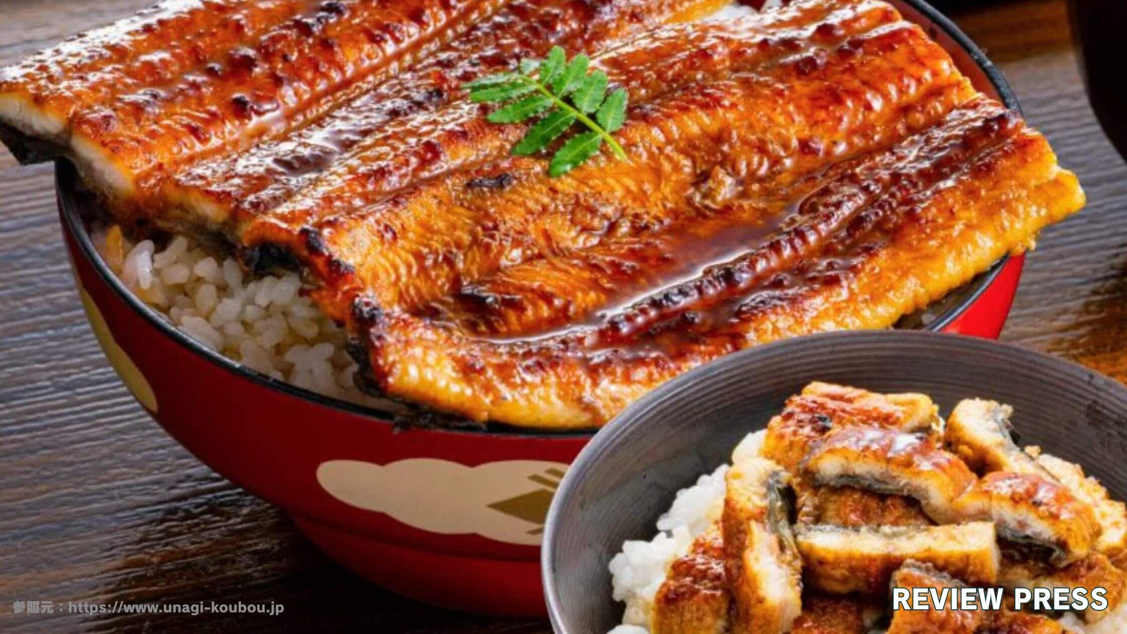 【評判】大五うなぎ工房の口コミレビュー！通販で長蒲焼 2尾セットをお取り寄せしてみた