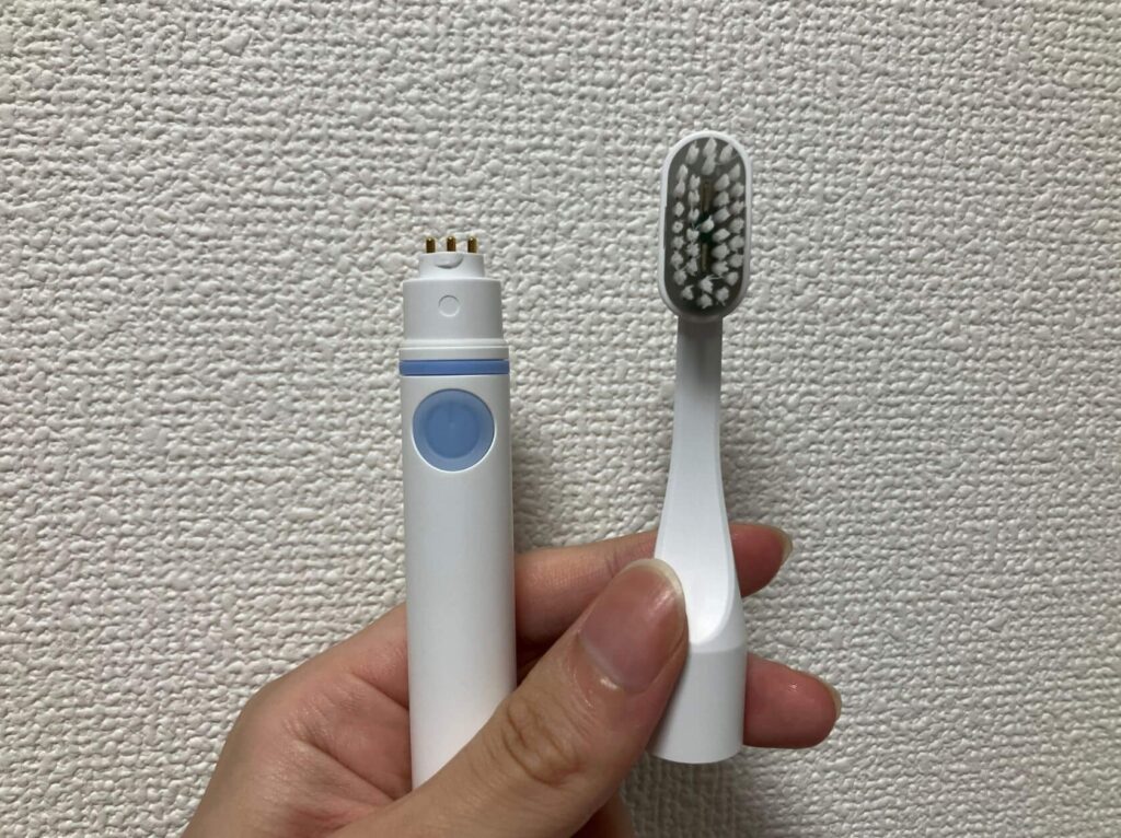 歯ブラシのサイズが大きめ