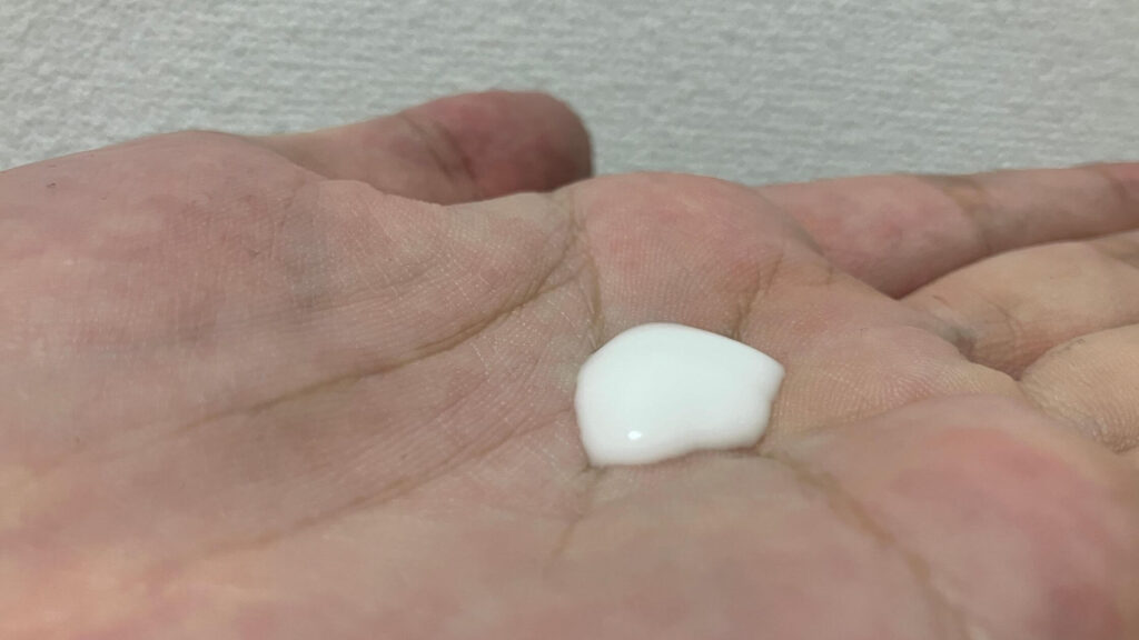 本体はこんな感じ