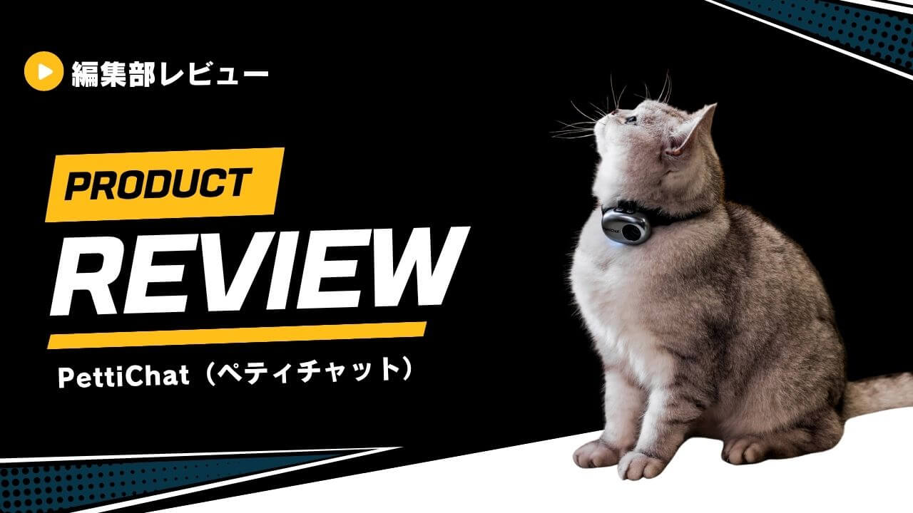 PettiChat（ペティチャット） (1)