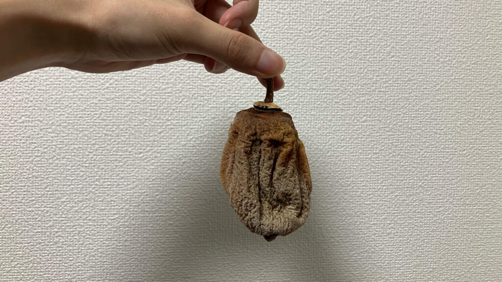 アマテ農園の「天授柿」