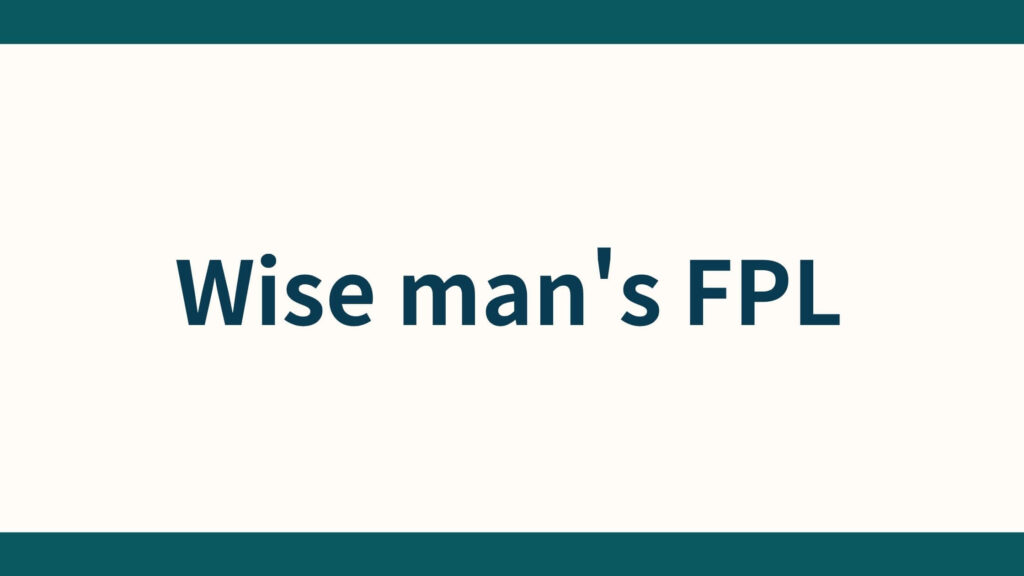 Wise man's FPL_事業概要